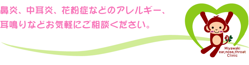 鼻炎、中耳炎、花粉症などのアレルギー、耳鳴りなどお気軽にご相談ください。